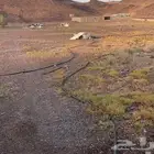 ارض للايجار