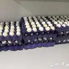 بيض بلدي للأكل