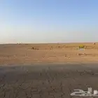 للبيع أرض زراعية بصك مستقل