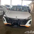 دونج فينج شاين 2025 E1 مع عازل حراري مجانا