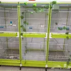 اقفاص طيور كبيرة مطايير للمختلف انواع الطيور