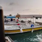 للبيع قارب رويال كرافت نزهة