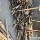شراء انواع الخشب