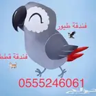 فندقة طيور وقطط 6061 24 0555 الرياض