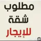 مطلوب شقة أو ملحق للإيجار غير مفروش