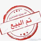 صوص براهما كولمبي