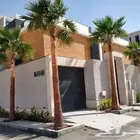 زراعة وتنضيف نخل واشنطني زينه واشنطوني