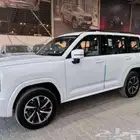 هافل H9 فل كامل 2026 كاش وافساط