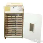 فقاسه جديجه