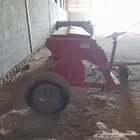 بذارة ماسي