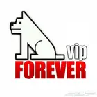 تجديد شيرنج VIP فوريفر