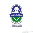 ذبايح فاخره مناسبة مفاطيح وثلاجات