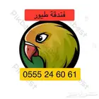 فندقة طيور وقطط 61 60 24 0555 وقت سفركم