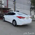 هولندي النترا 2014 نظيفه