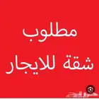 مطلوب شقة غرفتين و صالة جنوب جدة