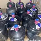 قوارير مياه تانيا فارغة