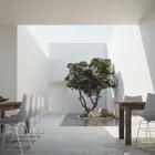 نخل شنطونياء وزيتون