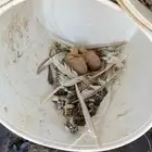 تم البيع الله يبارك له