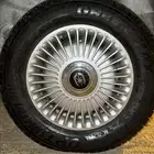 مطلوب طيس كرسيدا الأحساء