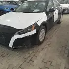 التيما 2025