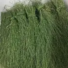 مرخ للبيع الخرج