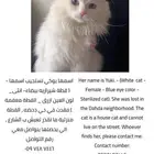 قطعة مفقودة
