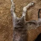 ضفيرة مكينة بورش باناميرا 8 سلندر كامله