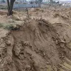 تربة زراعيه ممتازه