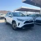 راف فور XLE هايبرد 2025