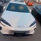 بي واي دي سيل 7 بريميوم 2026