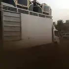 شركة نقل عفش بالمدينة المنورة