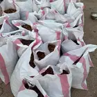 تمر علف كيس للحلال البدائع