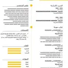 - تصميم سيرة ذاتية احترافية (CV)