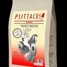 سيتاكوس أكل يومي للببغاوات المنتجة - parrot breeder