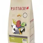 اوميقا فورمولا من سيتاكوس