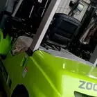 رافعات شوكيه