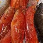 سمك البرك وعمق متواجد حاليا في محايل