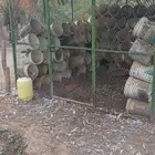 شبوك غرف بقلاوه