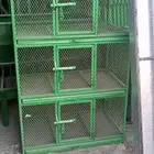 مستلزمات طيور
