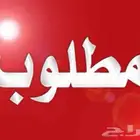 مطلوب غرفة وصالة بالرياض