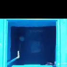 كشف تسريب المياة بي القصيم