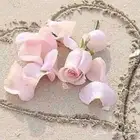 المأذون الرسمي