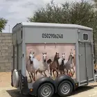 عربة نقل خيل نجران