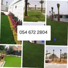 يوجد نخل أمريكي سعر مناسب يوجد تيل طبيعي سعر 10