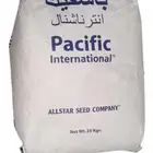 بذار برسيم انترناشونال امريكي