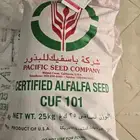 بذور برسيم باسيفيك alfalfa seeds pacific CUF 101
