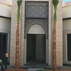 نخل وشنطن ونخل عربي