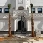 نخل الرياض جميع انواع النخل بجميع مقاساته