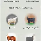 حسلان بلدي