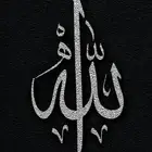 مشروع باذن الله تعالي مضمون 100